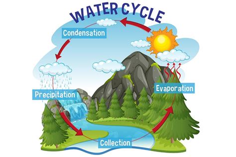Presipitasi Dalam Siklus Hidrologi Mitos Fakta