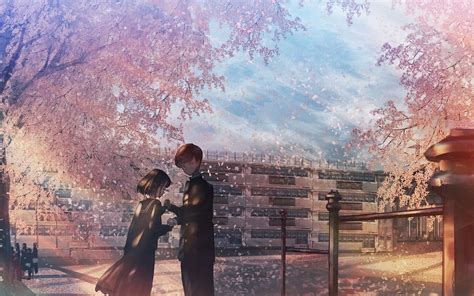 Anime Cherry Blossom Background  ~ Blossoms Senku Mecha Petals