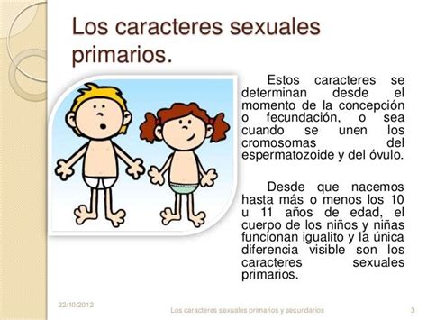 Los Caracteres Sexuales Primarios Y Secundarios