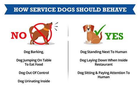 How To Get Your Service Dog To Stop Barking Service Dog Certifications