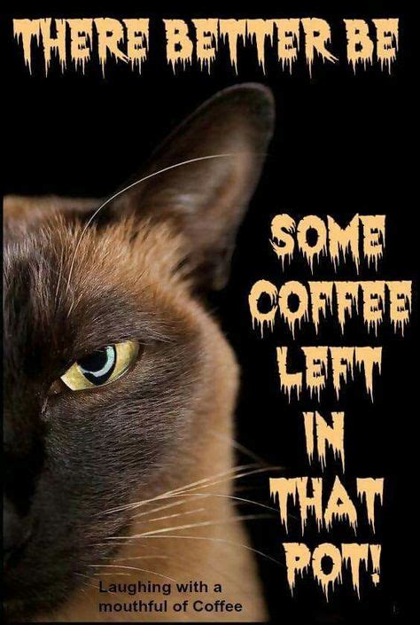 9 Halloween Coffee Memes Ideas In 2021 Halloween Coffee Coffee