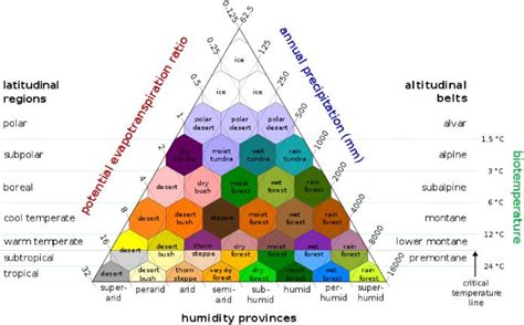 Tipos De Biomas Clasificaci N Caracter Sticas Y Ejemplos The