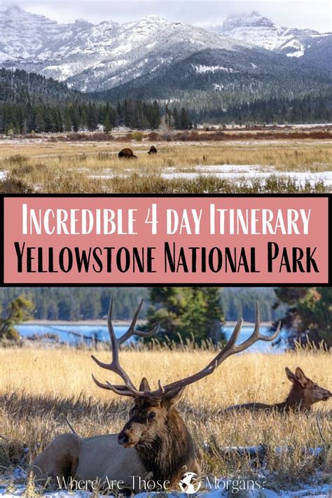 yellowstone national park the ultimate first time visitor guide yellowstone vacation planning
