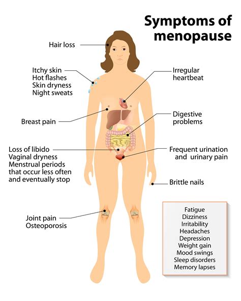 Progesterone In Menopausal Hormone Therapy Mozelle Hadley