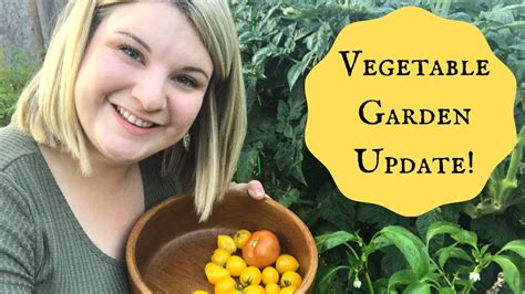 Vegetable Garden Update 🍅🥬🌶 Youtube