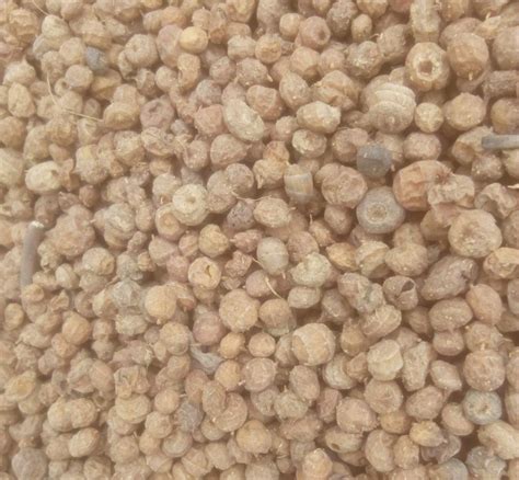 We Sell Neat And Fresh Tiger Nuts Aki Hausa In Nigeria