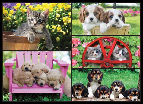 Kodak Kittens And Puppies 550pc Jigsaw Puzzle By Lafayette Puzzle