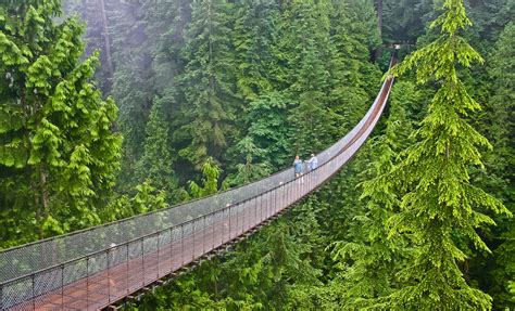 Best Of Vancouver And Bridge Vancouver Shore Excursion Alaskan
