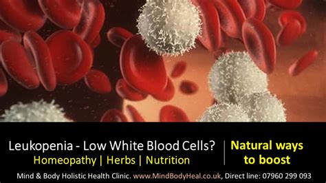 Leukopenia Low White Blood Cells Mind And Body Holistic Health Clinic