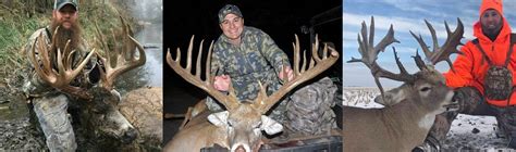 The male of various other mammals, such as antelopes, kangaroos, mice. Biggest Bucks of 2017 - Legendary Whitetails - Legendary ...