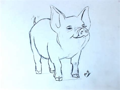 How To Draw A Pig 10 Easy Drawing Projects