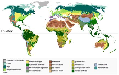 Rainforest facts to learn about this biome located near the equator. Biophysical Interactions - Latitude Geography
