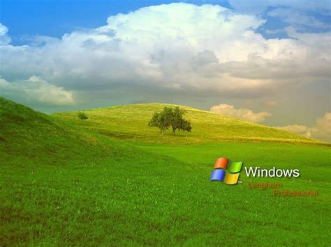 Mlp Microsoft Windows Xp Bliss Know Your Meme 1600×1200 Windows Xp
