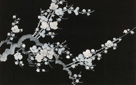 Black And White Cherry Blossom Wallpaper Leading