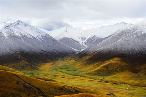 Snow Line at the Tibetan Plateau | Like to see the ...