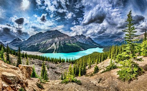 Download Wallpapers Peyto Lake 4k Summer Banff National Park Forest
