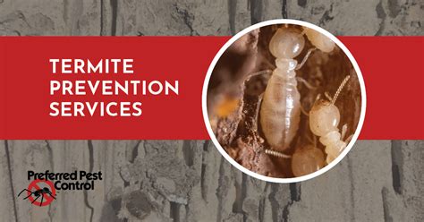 Termite Treatment Prevention Preferred Pest Control