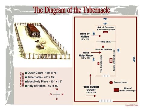 The Diagram Of The Tabernacle Bible Study Scripture Bible Study