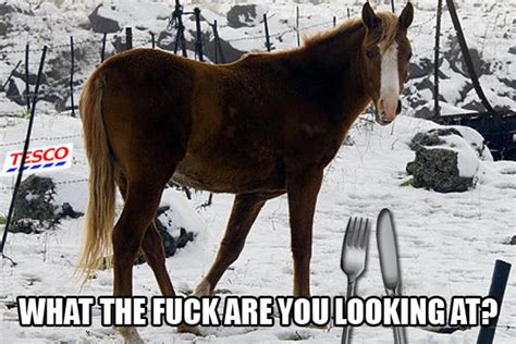 Image 481957 2013 Horse Meat Scandal Know Your Meme