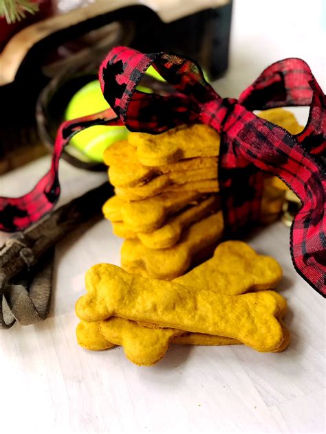Peanut Butter Pumpkin Dog Treats Recipe Herlongwayhome
