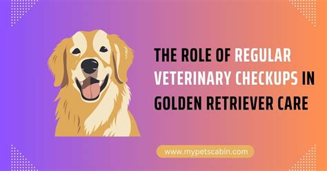 Top 5 Vital Role Of Regular Veterinary Checkups In Golden Retriever Care