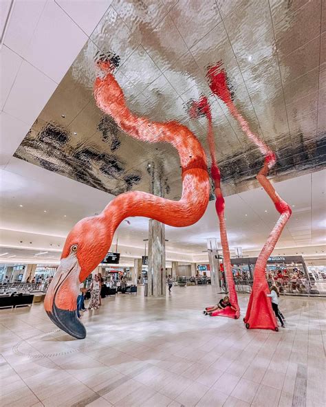 Most Instagrammable Spots in Tampa, Florida — This Life Of Travel