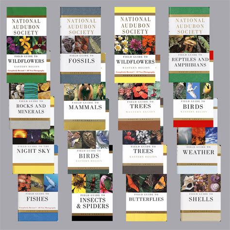 National Audubon Society Field Guides Book Set 16 Books