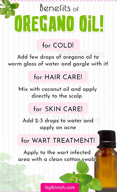 Oregano Essential Oil Benefits To Maintain Your Health