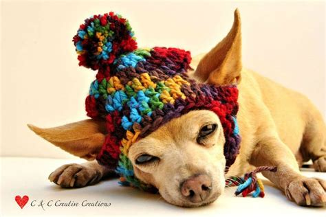 Gorros Para Mascotas Crochet Dog Hat Crochet Dog Clothes Dog Hat