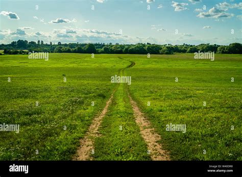 Winding Meadow Dirt Road Green Nature Scenery Low Angle Stock Photo