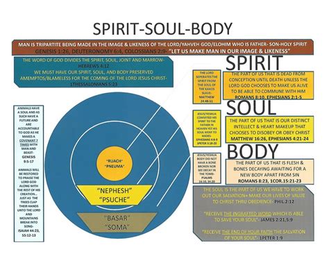 Chart Spirit Soul And Body Precious Faith Bible Church