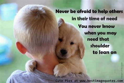 Helping Animals Quotes Quotesgram