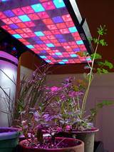 Images of Can You Grow Marijuana With Led Lights