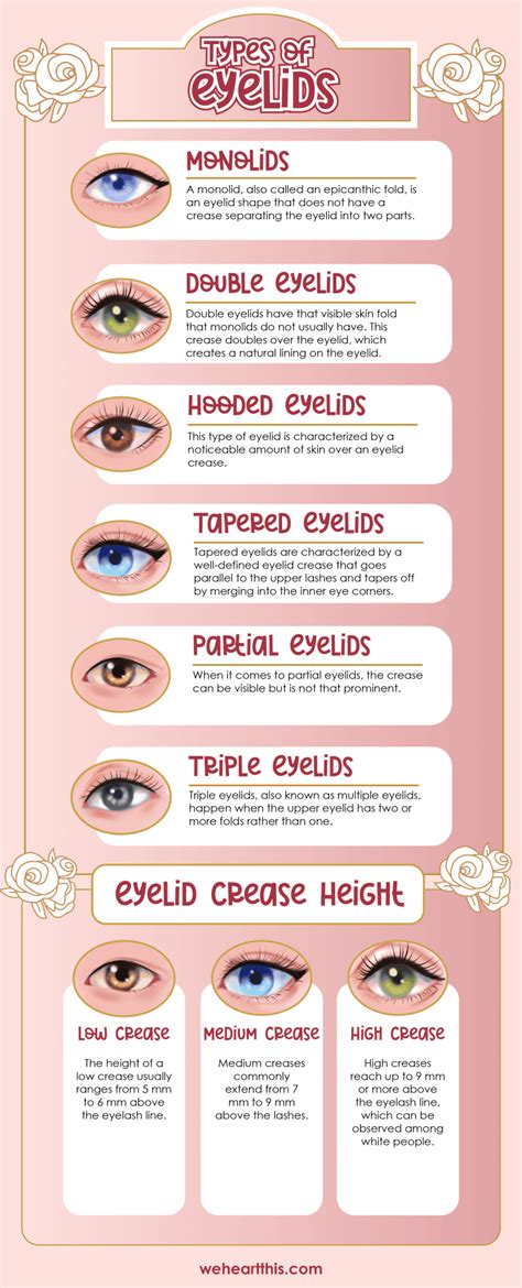 What Are The Different Types Of Eyelids Easy Eye Makeup Tips
