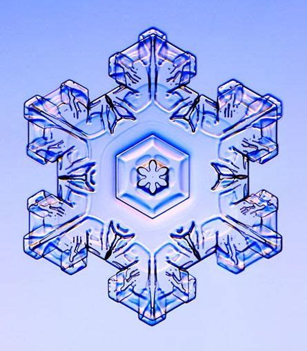 Snowflakes Under The Microscope Snowflakes Real Snowflakes Snow Crystal