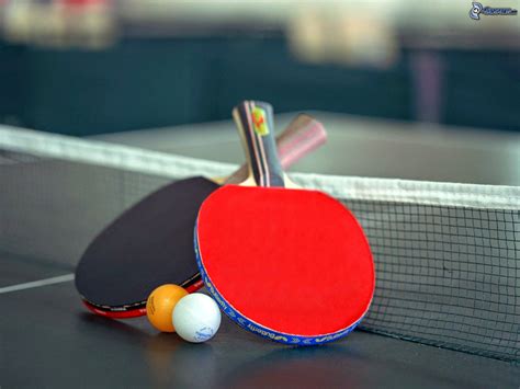 Diferenças Entre Ping Pong E Tenis De Mesa