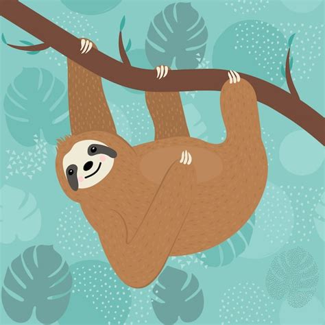 Premium Vector Cute Sloth Character Hanging On A Tree