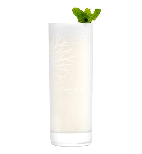Gin Fizz Transparent File Png Play
