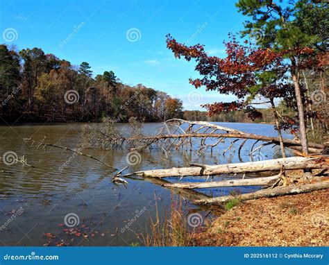 Badin Lake In Uwharrie National Forest Stock Photo Image Of Hiking