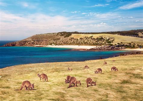 The sovereign nation of the commonwealth of australia consists of the australian mainland and numerous other islands. Major Travel Plc :: Melbourne to Adelaide via Kangaroo ...