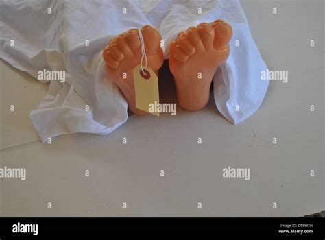 Feet Of Body In Morgue Stock Photo Alamy
