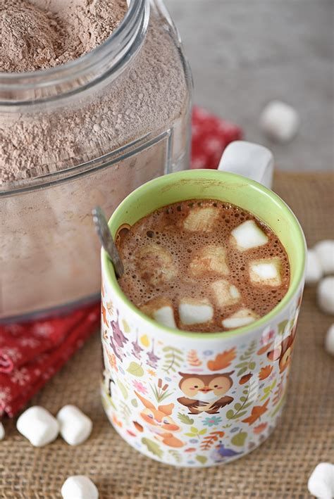 Homemade Hot Chocolate Mix Adventures Of Mel