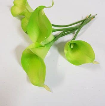 Calla Lily Green Real Touch Desflora