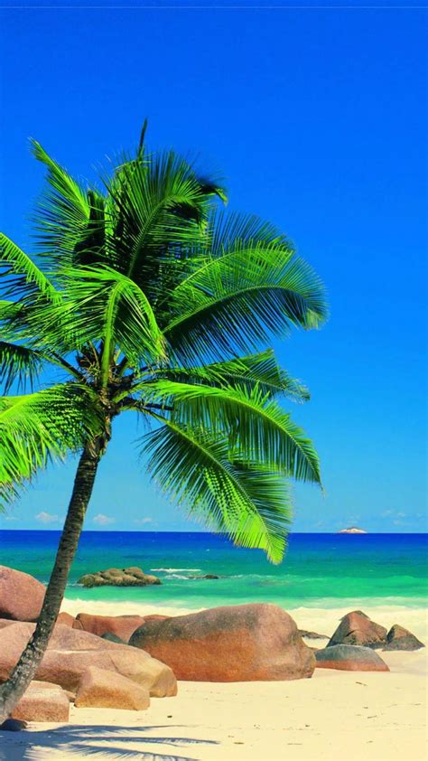 Free Download Tropical Beach Hd Wallpaper Apk For Android Download