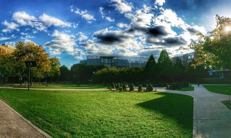DePaul University - 47 Photos & 91 Reviews - Colleges & Universities