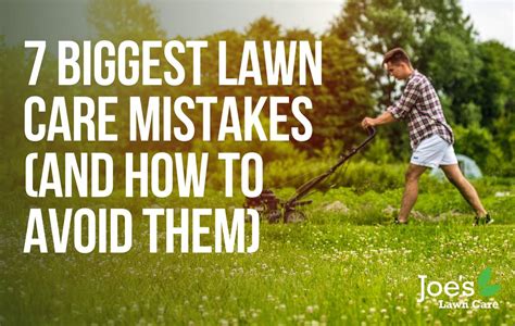 7 Biggest Lawn Care Mistakes And How To Avoid Them Joes Lawn Care
