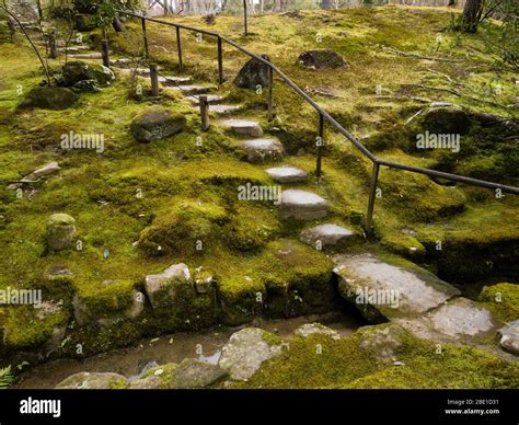 Japanese Moss Garden With Stone Path Stock Photo Alamy