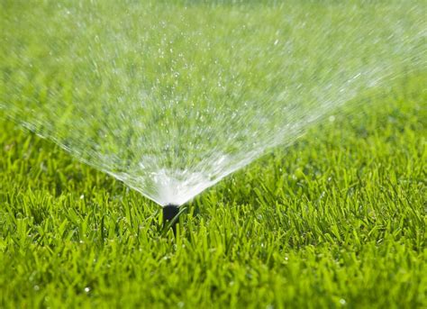 Dry Grass Lawn Problems 7 Things Your Lawn Is Trying To Tell You