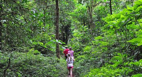 Forest Trekking Tour From Da Lat Vietnam Kkday