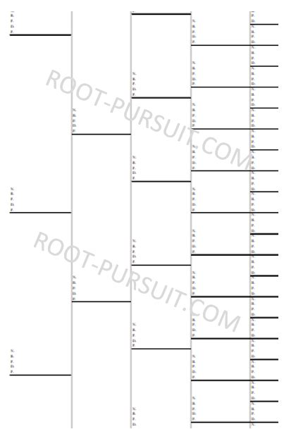 Sold by misbach enterprises and ships from amazon fulfillment. Pedigree Chart - 7 Generation - Root Pursuit